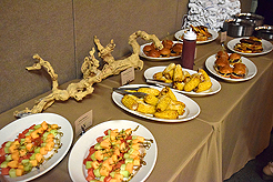 CAMP EVAN BAR MITZVAH